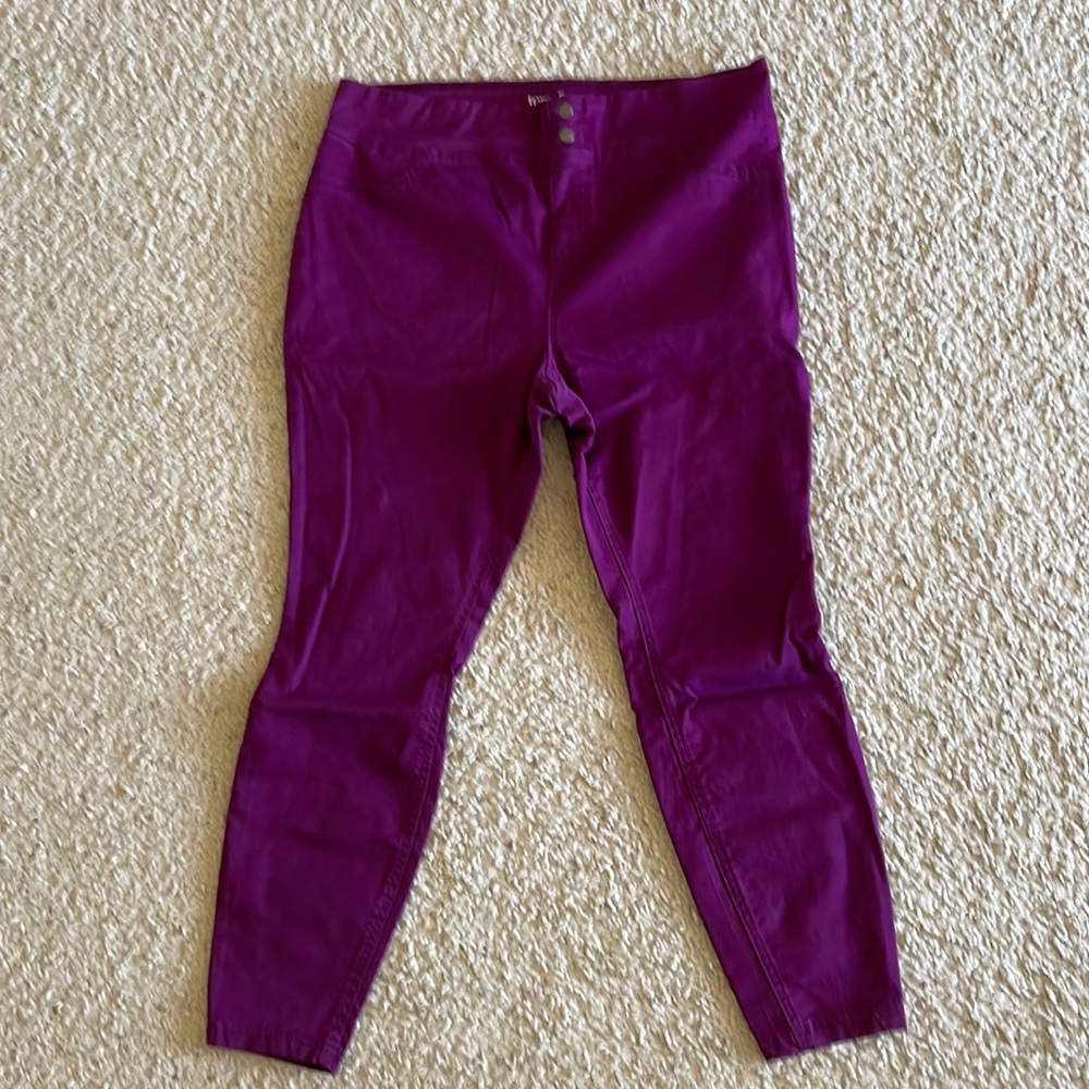 Terra & Sky berry colored skinny pant